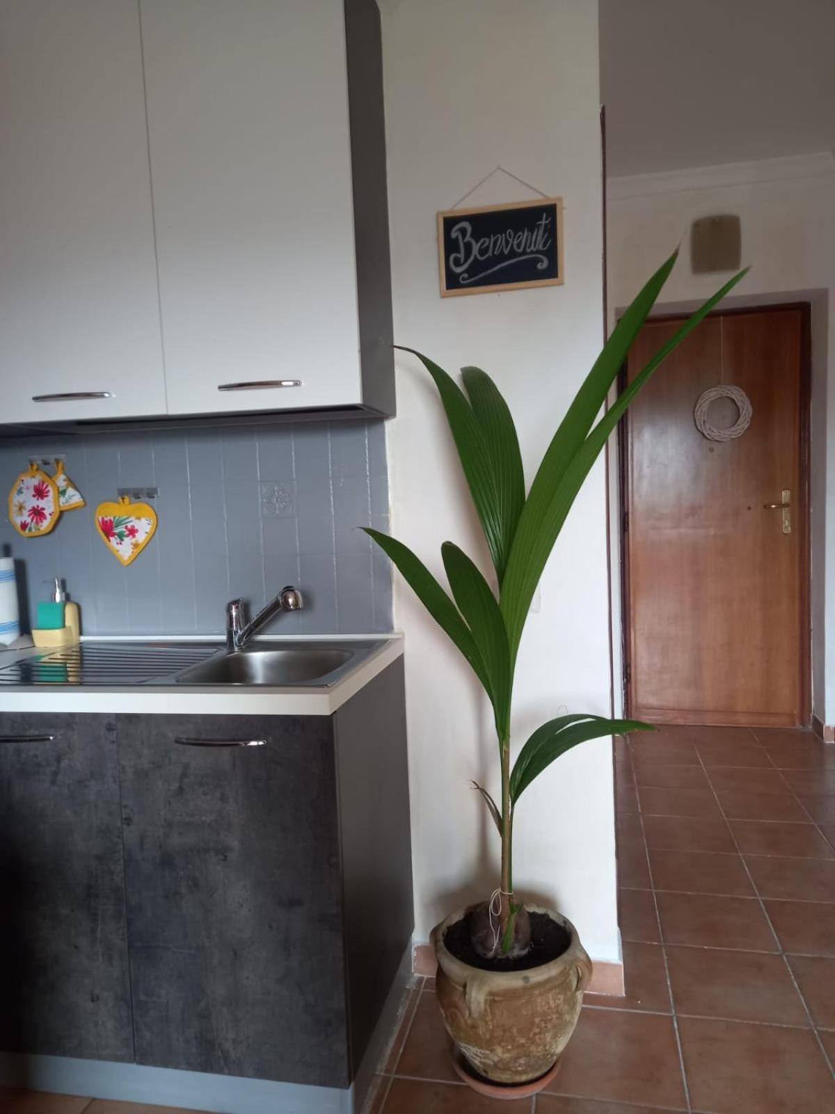 Apartamento Antica Fonte Montefranco Exterior foto